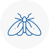 Moth Control Specialists In Denton